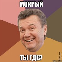 мокрый ты где?