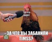 - За что надо!! - За что Вы забанили TimSS?