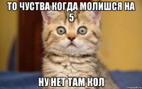 то чуства когда молишся на 5 ну нет там кол