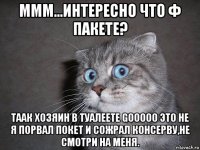 ммм...интересно что ф пакете? таак хозяин в туалеете gooooo это не я порвал покет и сожрал консерву,не смотри на меня.