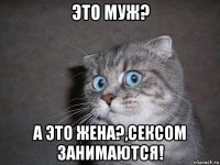 это муж? а это жена?,сексом занимаются!