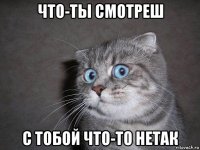 что-ты смотреш с тобой что-то нетак