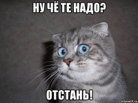 ну чё те надо? отстань!