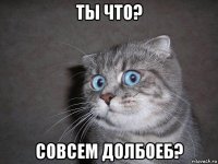 ты что? совсем долбоеб?