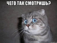 чего так смотришь? 