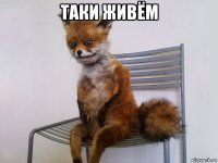 таки живём 