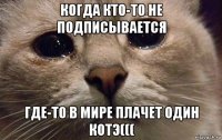 когда кто-то не подписывается где-то в мире плачет один котэ(((