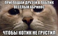 приглашай друзей в паблик весёлый абрикос чтобы котик не грустил