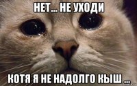 нет... не уходи котя я не надолго кыш ...