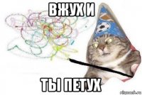 вжух и ты петух