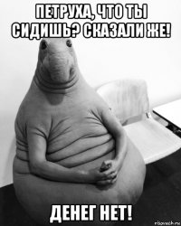 петруха, что ты сидишь? сказали же! денег нет!