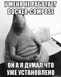 у меня не работает docker-compose ой а я думал что уже установлено