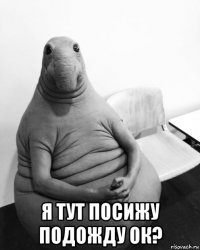  я тут посижу подожду ок?