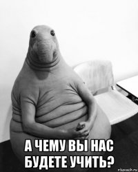  а чему вы нас будете учить?