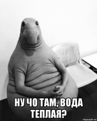  ну чо там, вода теплая?