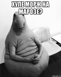 хуле морж на марозе? 