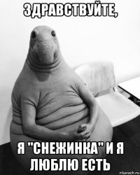 здравствуйте, я "снежинка" и я люблю есть