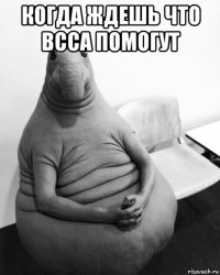 когда ждешь что bcca помогут 