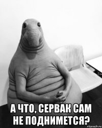  а что, сервак сам не поднимется?