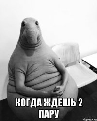  когда ждешь 2 пару