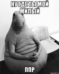 ну где ты мой милый ппр