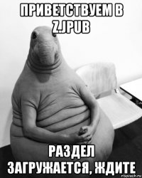 приветствуем в z.jpub раздел загружается, ждите