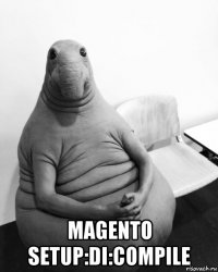  magento setup:di:compile