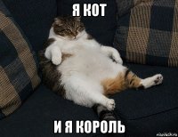 я кот и я король