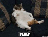  тренер