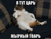 я тут царь жырный тварь