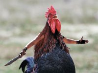 Создать мем Буржуйские паразиты