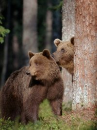 Создать мем Чёрт спалили