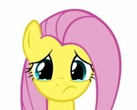 Создать мем Fluttershy