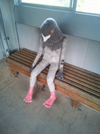 Создать мем Funny Bezumie