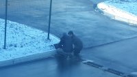 Создать мем Корт