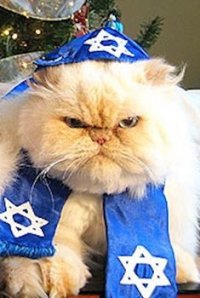 Создать мем Кот нг