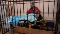 Создать мем Насиров