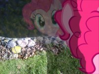 Создать мем Pinkie Pie