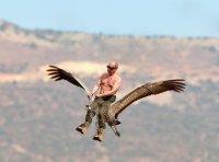 Создать мем Путин на стерхе