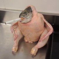 Создать мем Рыбокуриц