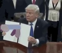 Создать мем Трамп