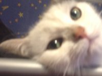 Создать мем Тыыыыыыыыыыыыыыыыыыыыыы