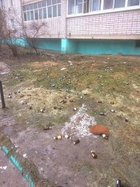 Создать мем Весна пришла