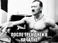  после трех дней в качалке