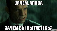 зачем, алиса зачем вы пытаетесь?