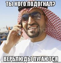 ты кого подогнал? верблюды пугаются