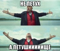 не петух а петушииииище