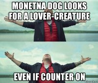 monetna dog looks for a lover-creature even if counter on