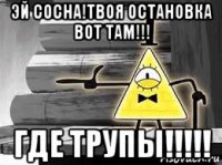 эй сосна!твоя остановка вот там!!! где трупы!!!!!