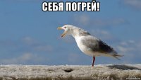 себя погрей! 